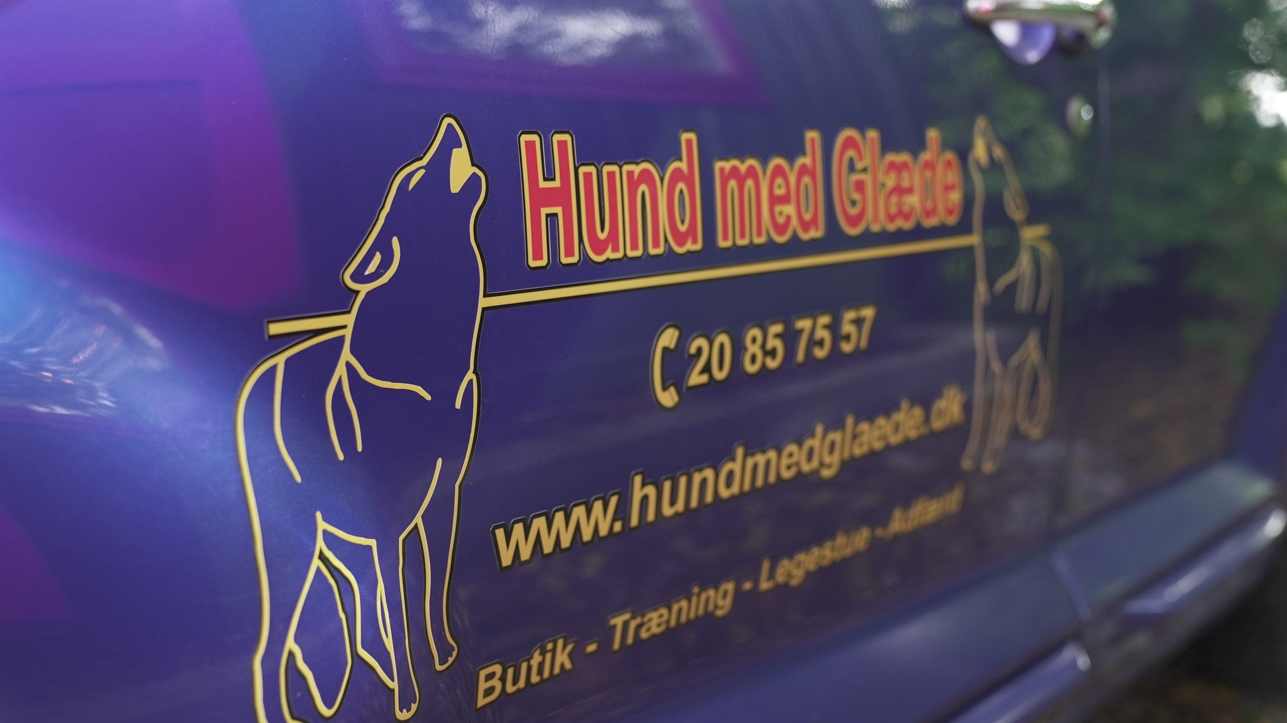 Adfærdsbehandling af hunde