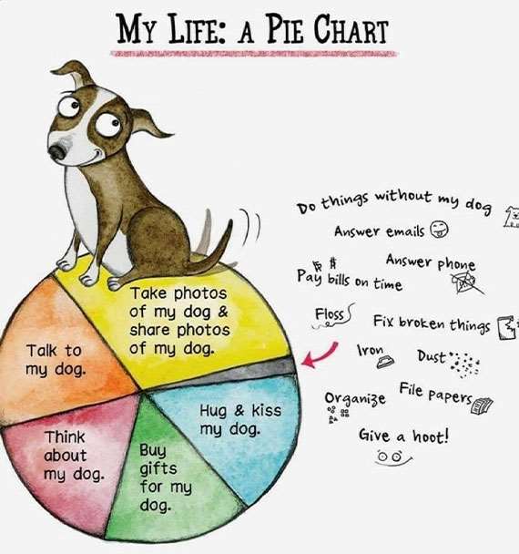 piechart